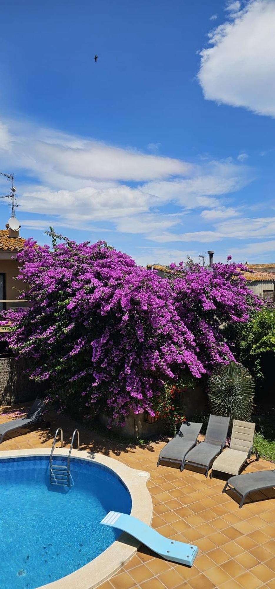 VilabertránCasa Deluxe Alt Emporda Costa Brava - Private Swimming Pool别墅 外观 照片
